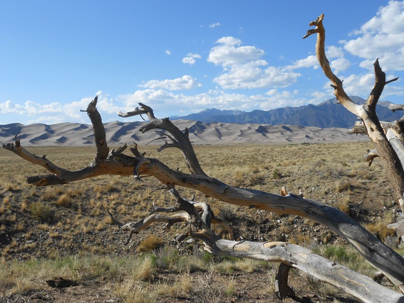 Grand Sand Dune (CO)